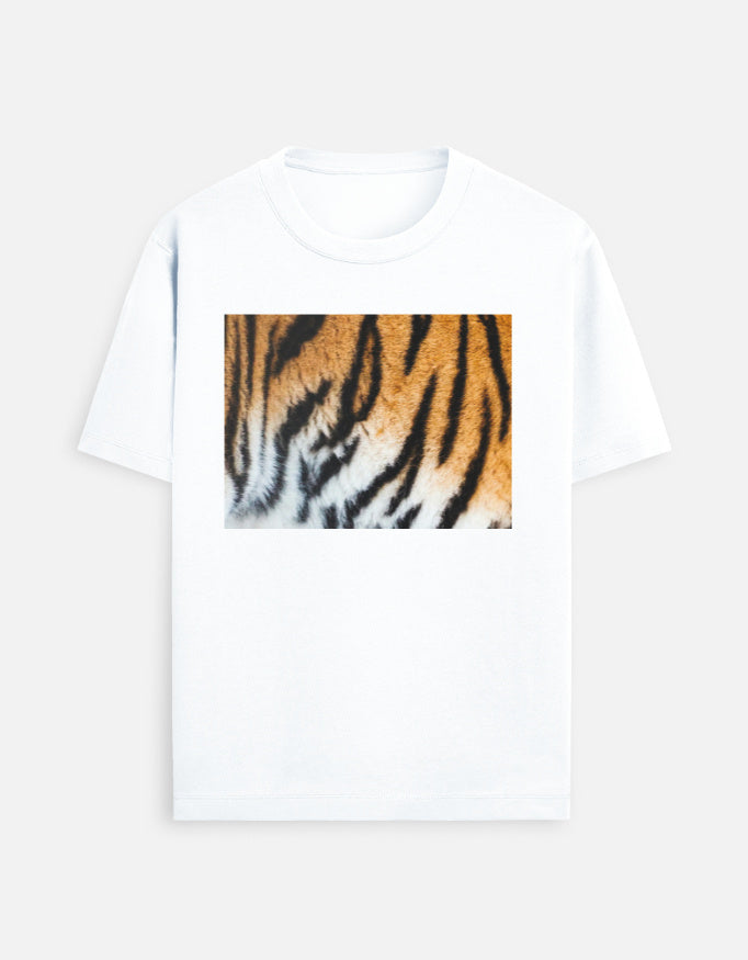 Front_1_c_1.jpg